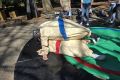 foto022