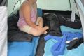 foto054
